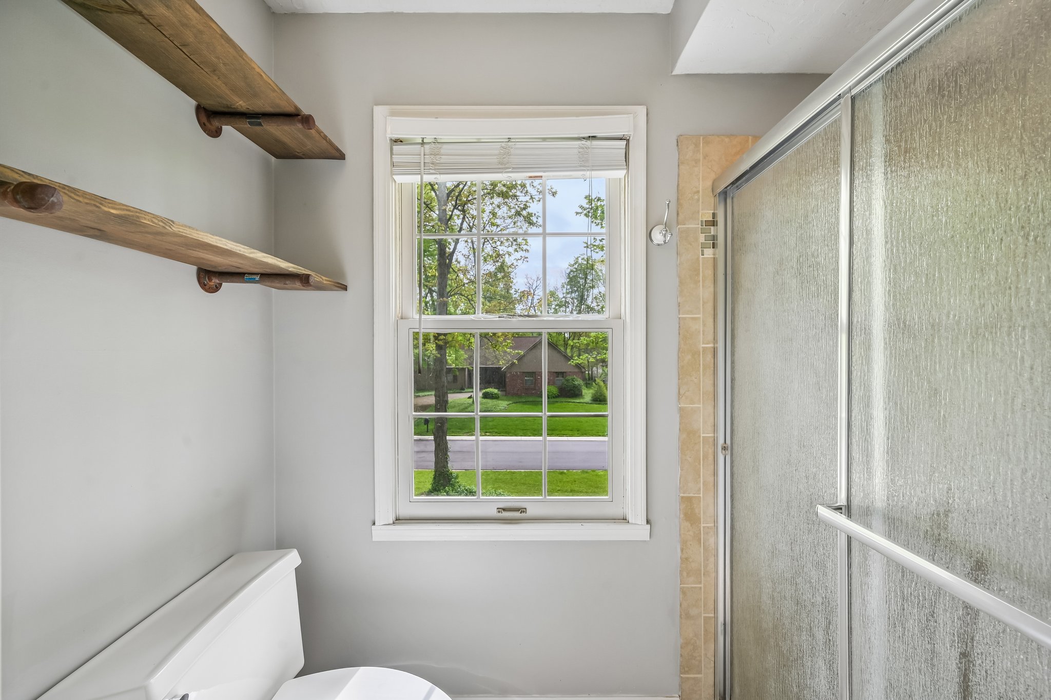 Count Fleet Ct-S2904-023.jpg