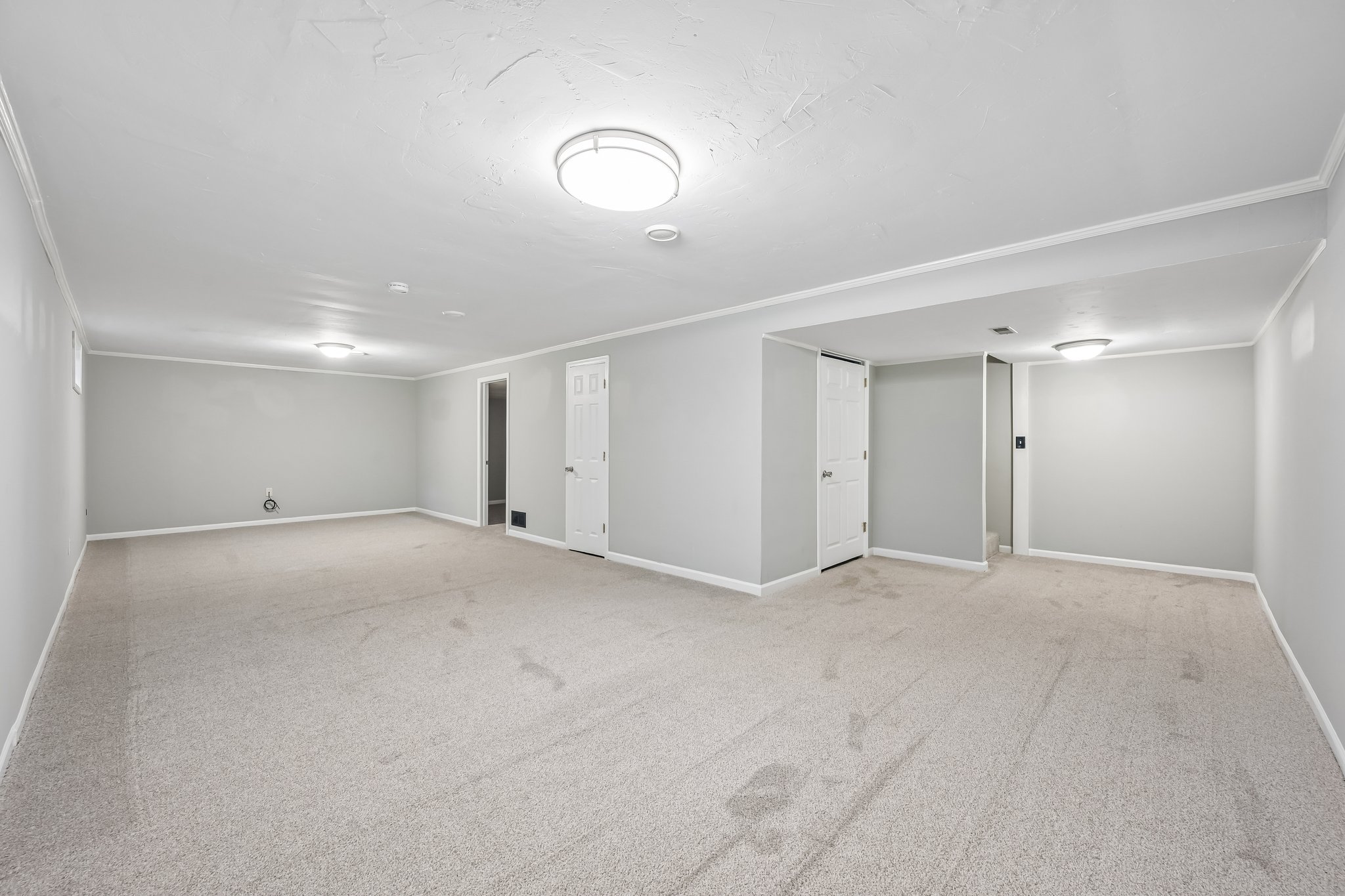 Count Fleet Ct-S2904-030.jpg