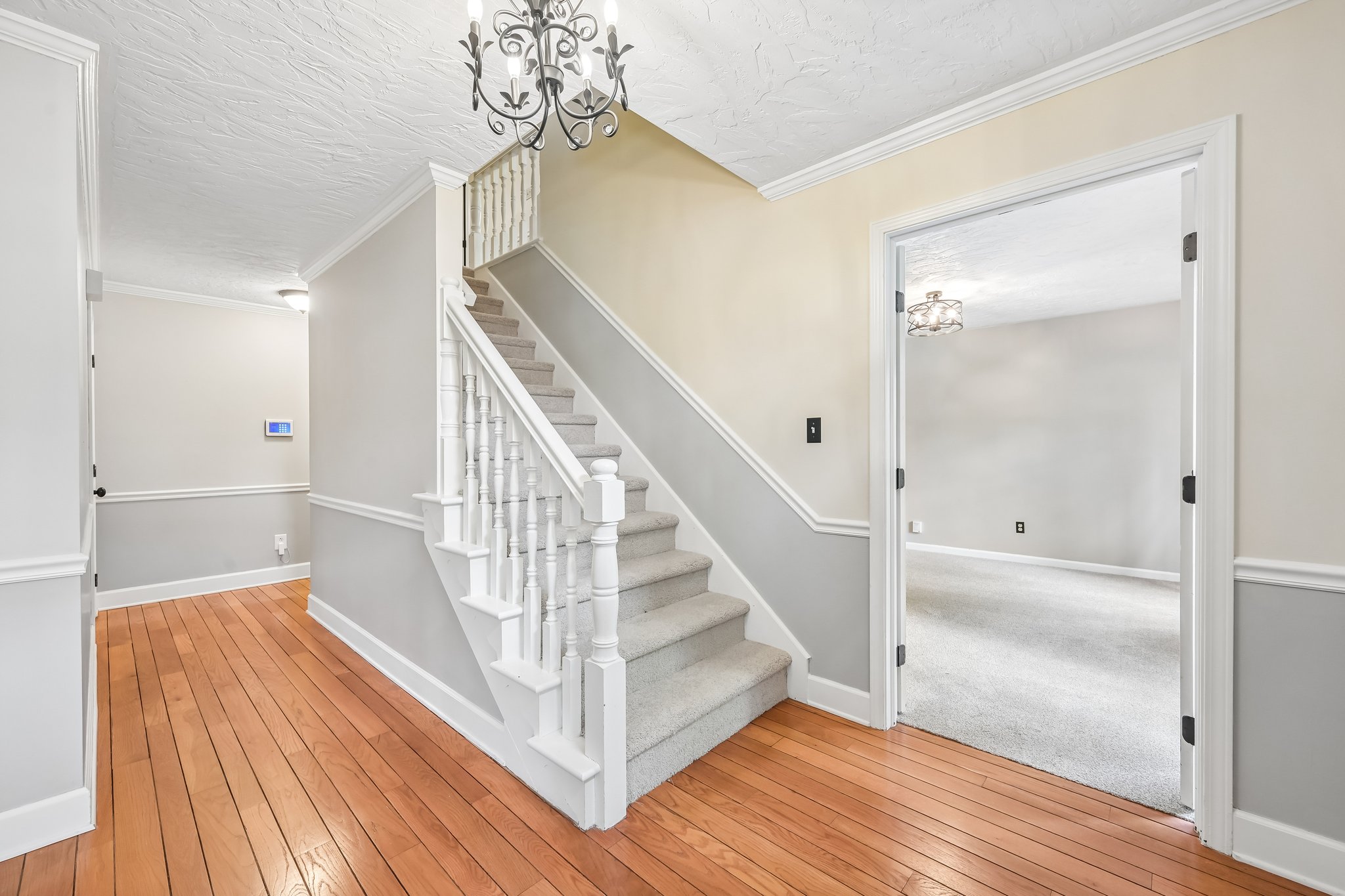 Count Fleet Ct-S2904-040.jpg