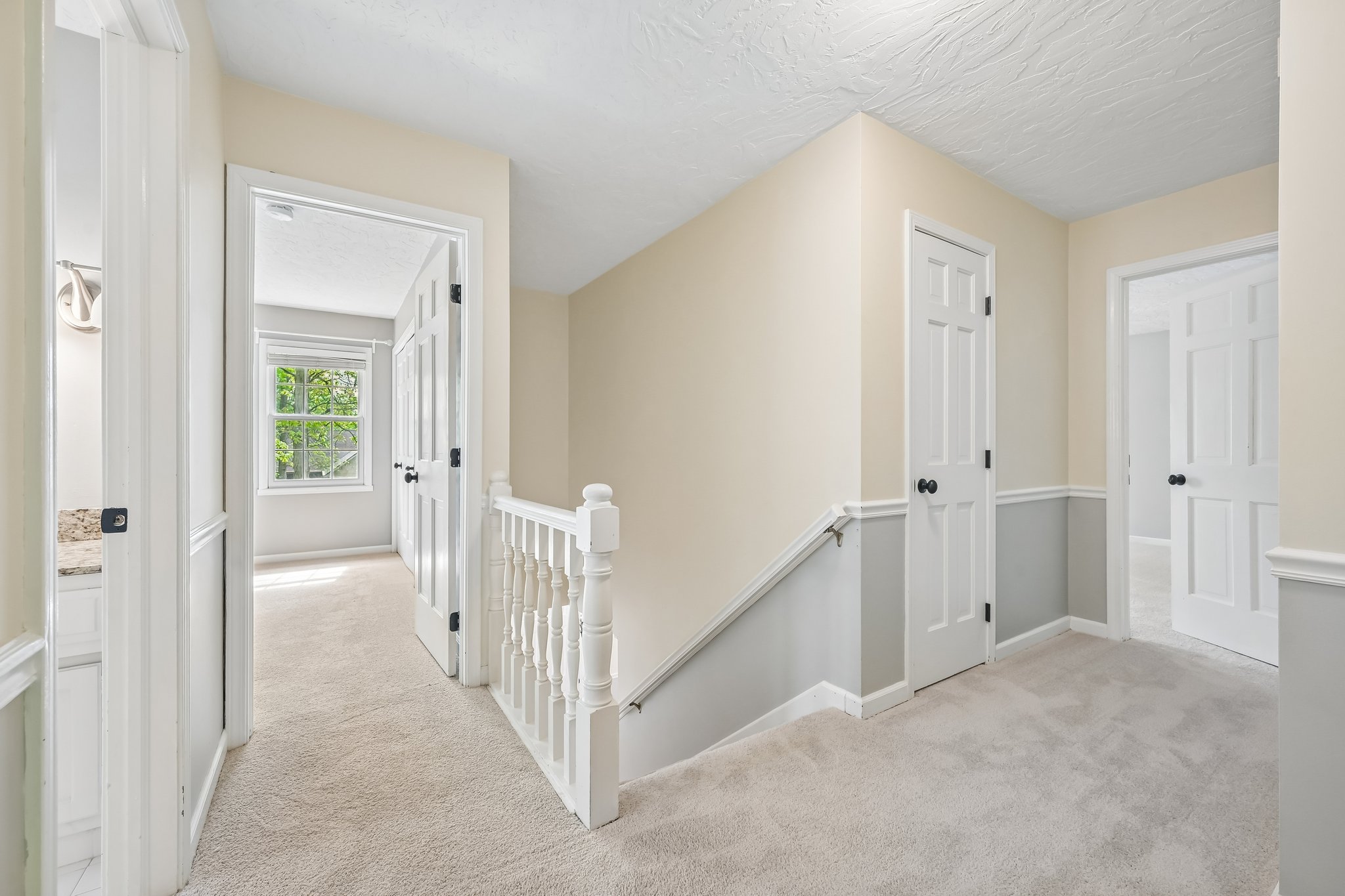 Count Fleet Ct-S2904-041.jpg