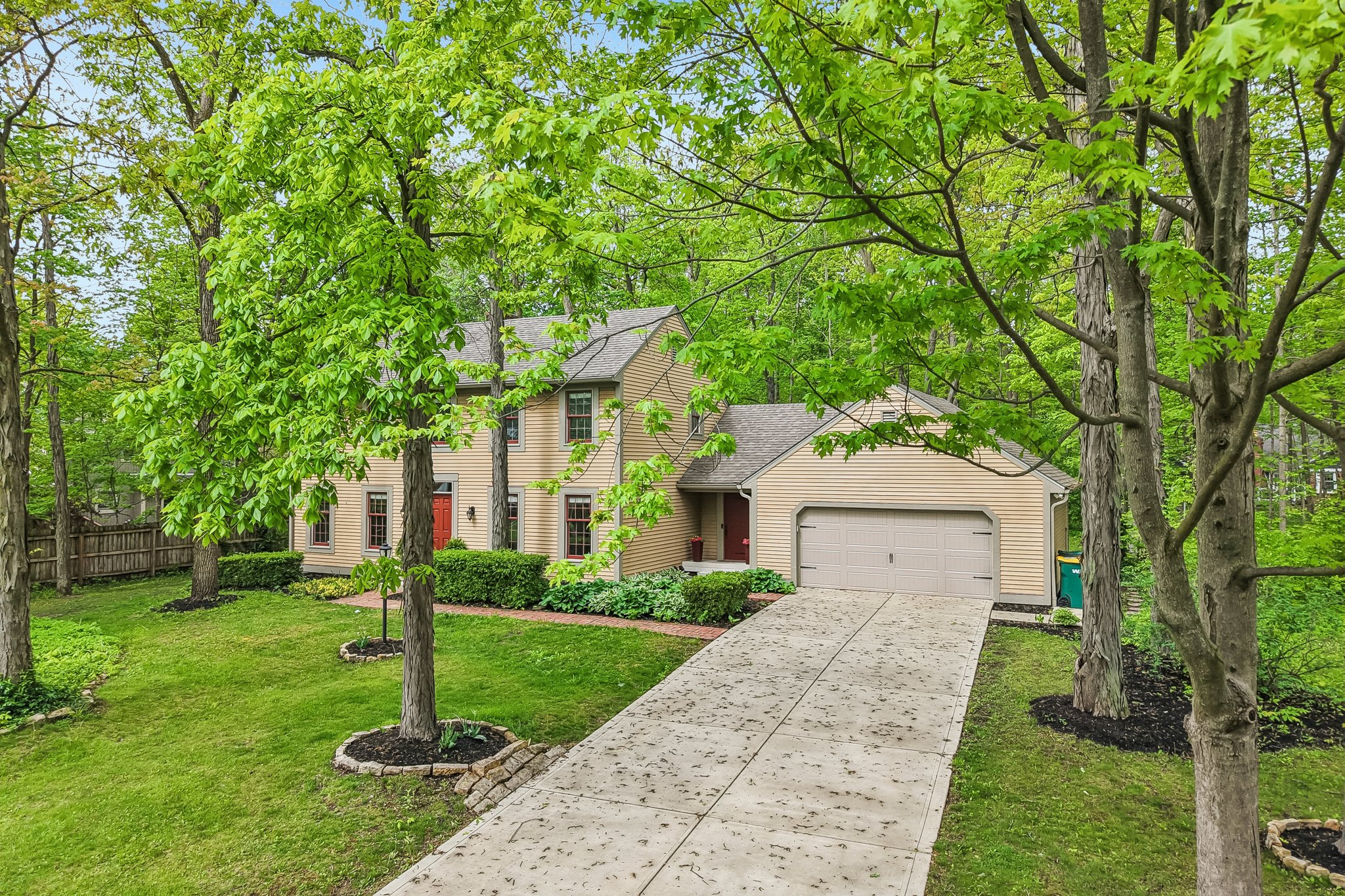 Count Fleet Ct-S2904-051.jpg