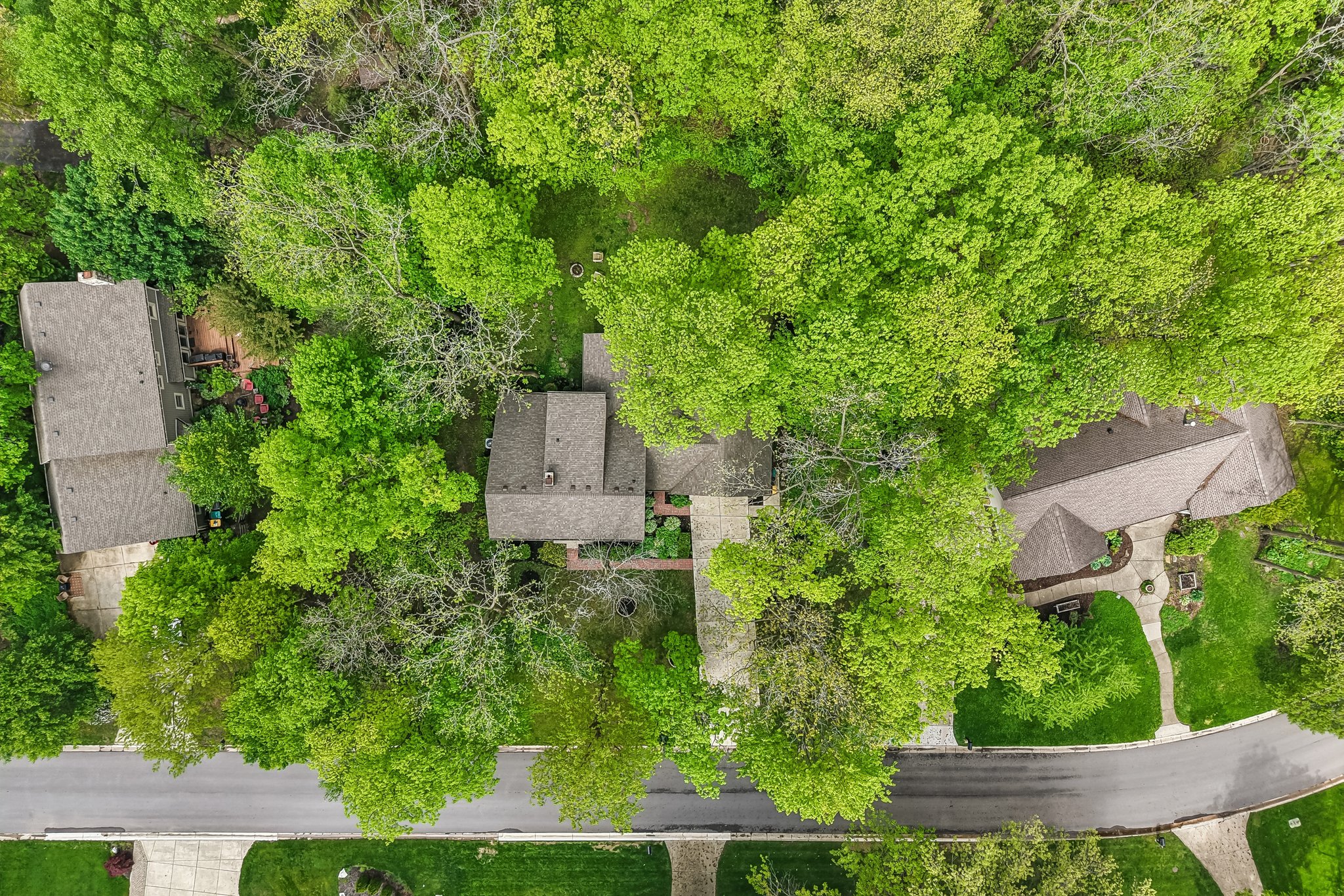 Count Fleet Ct-S2904-053.jpg