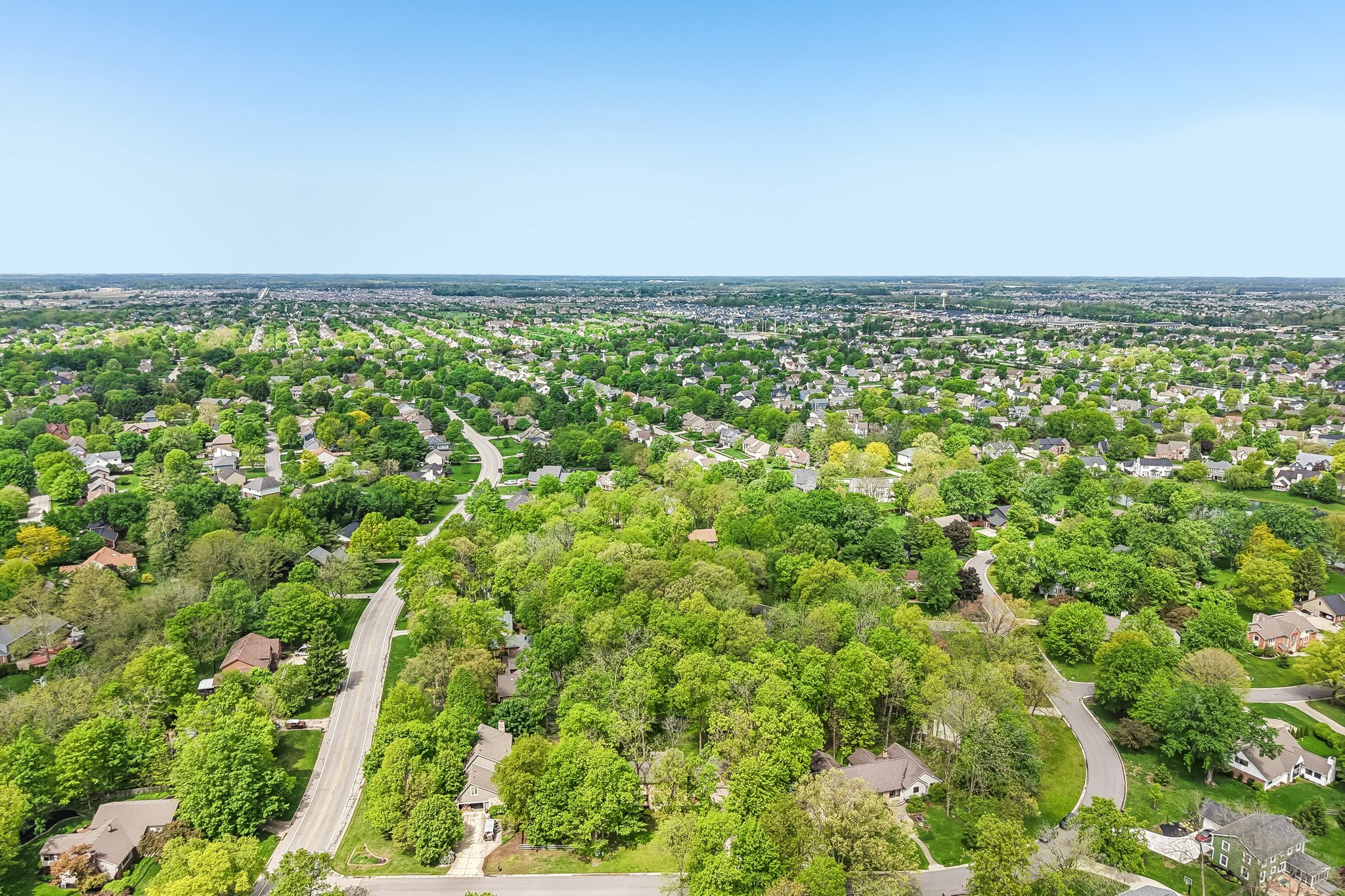 Count Fleet Ct-S2904-054.jpg