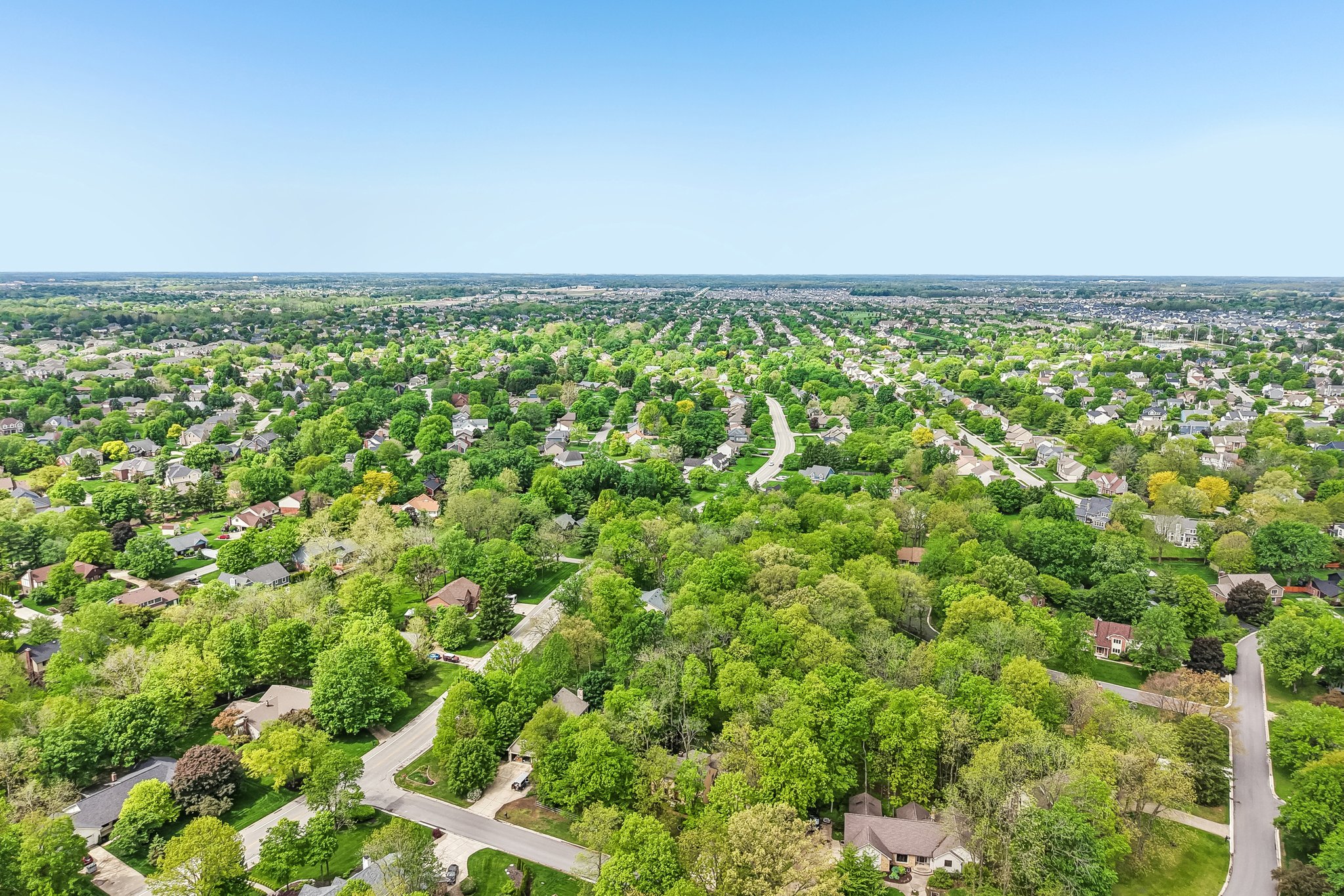 Count Fleet Ct-S2904-055.jpg