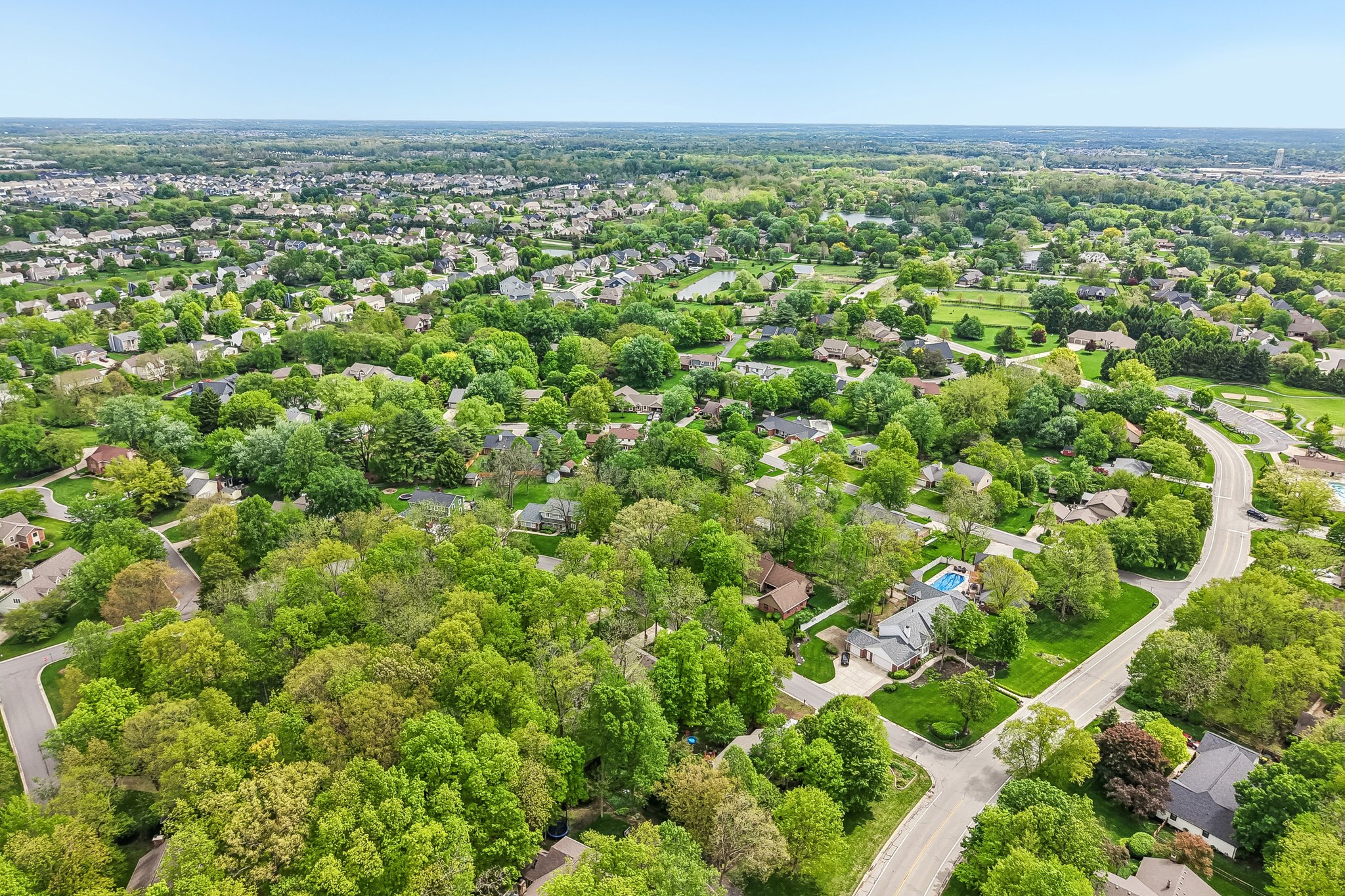 Count Fleet Ct-S2904-056.jpg