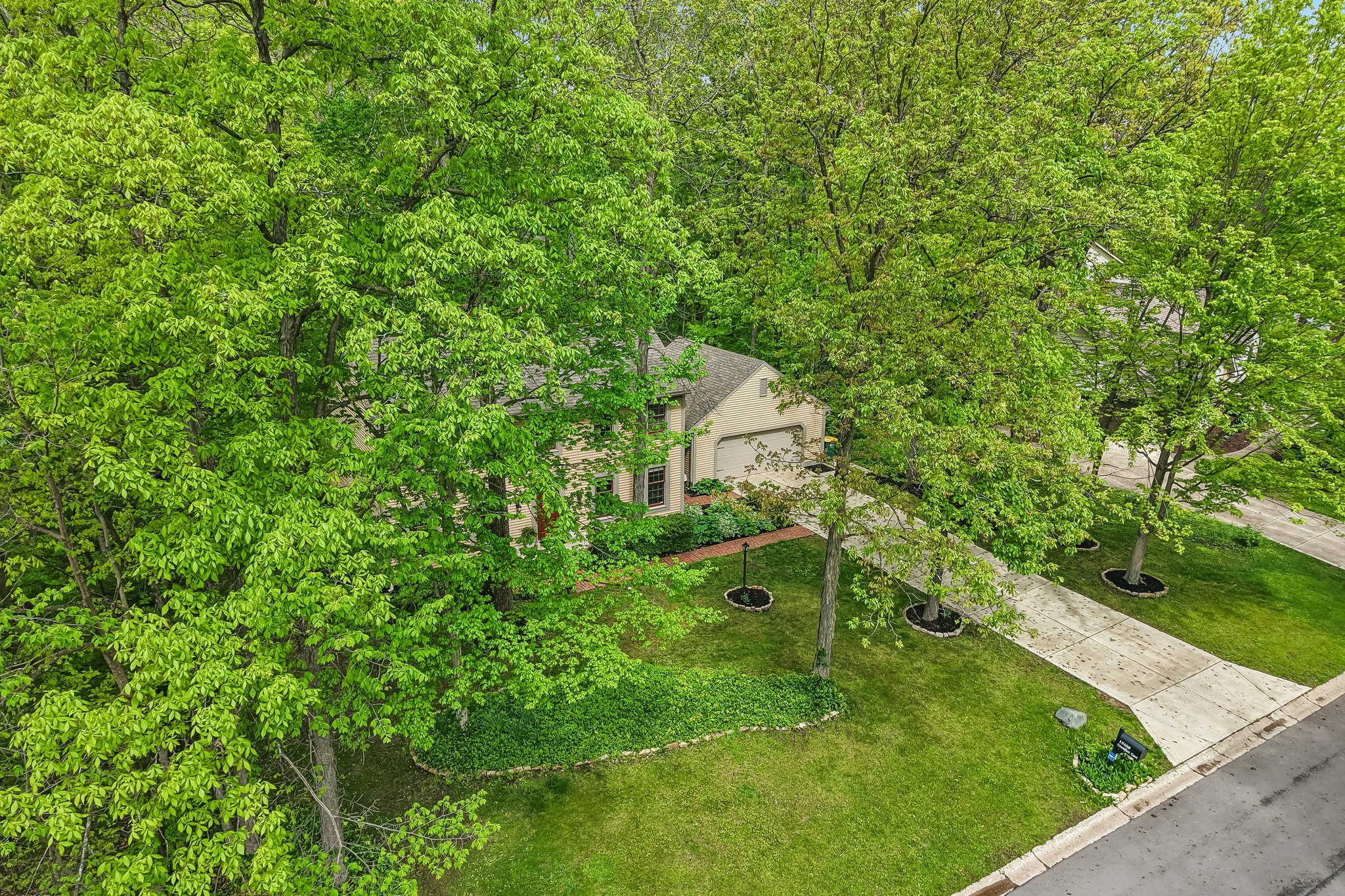 Count Fleet Ct-S2904-059.jpg