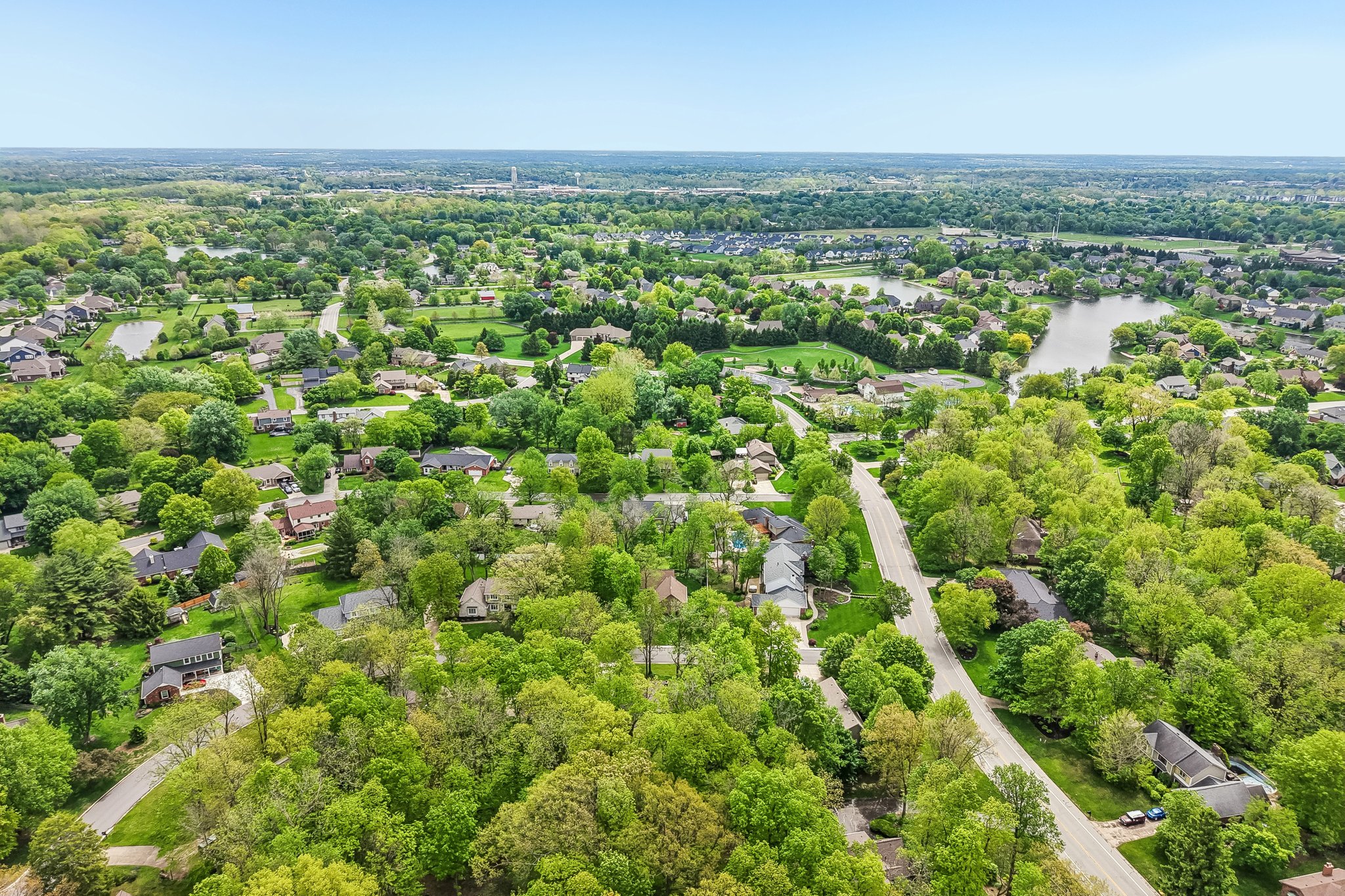 Count Fleet Ct-S2904-062.jpg