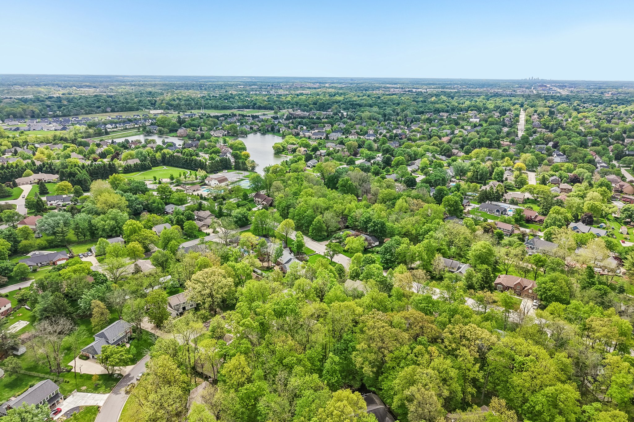 Count Fleet Ct-S2904-065.jpg