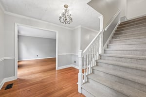 Count Fleet Ct-S2904-025.jpg