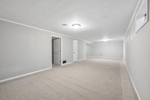 Count Fleet Ct-S2904-026.jpg