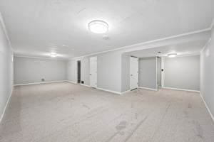 Count Fleet Ct-S2904-030.jpg