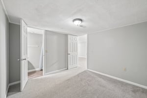 Count Fleet Ct-S2904-035.jpg