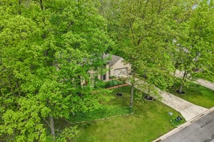 Count Fleet Ct-S2904-059.jpg