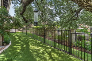 Side Yard