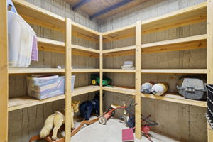  Photo 38