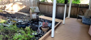  Photo 41