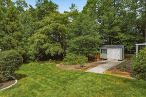 43-Backyard