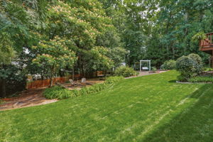 44-Backyard