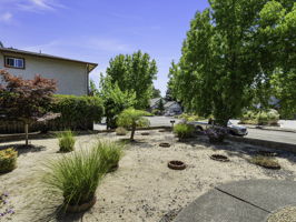  Photo 39