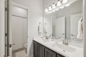 Nighthawk Ln-2705-028.jpg