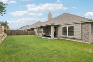 Nighthawk Ln-2705-040.jpg
