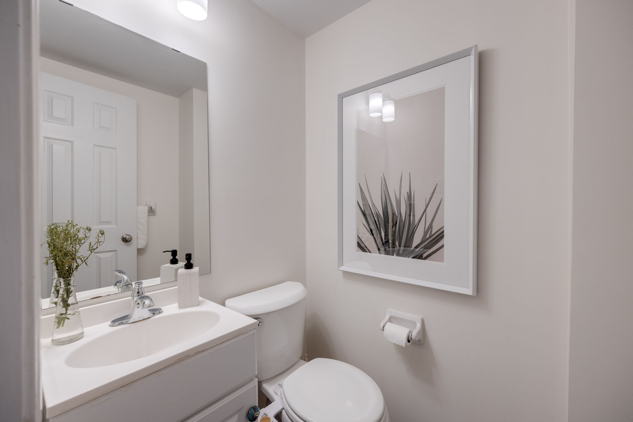Toronto property showcase — delivered property photograph 13