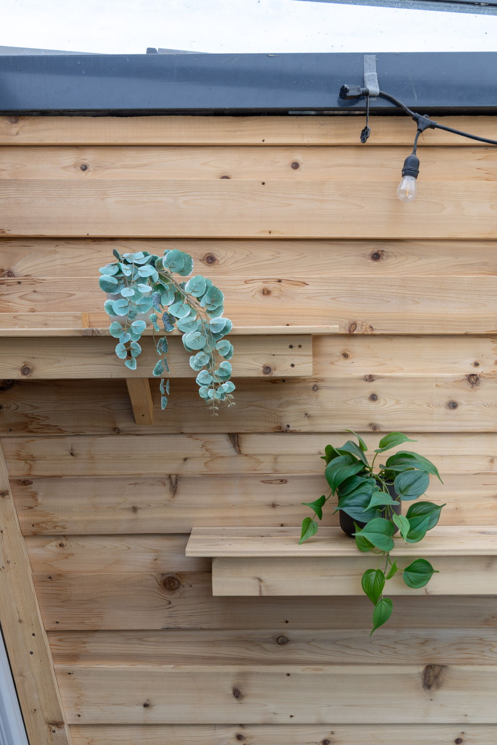 Toronto property showcase — delivered property photograph 71