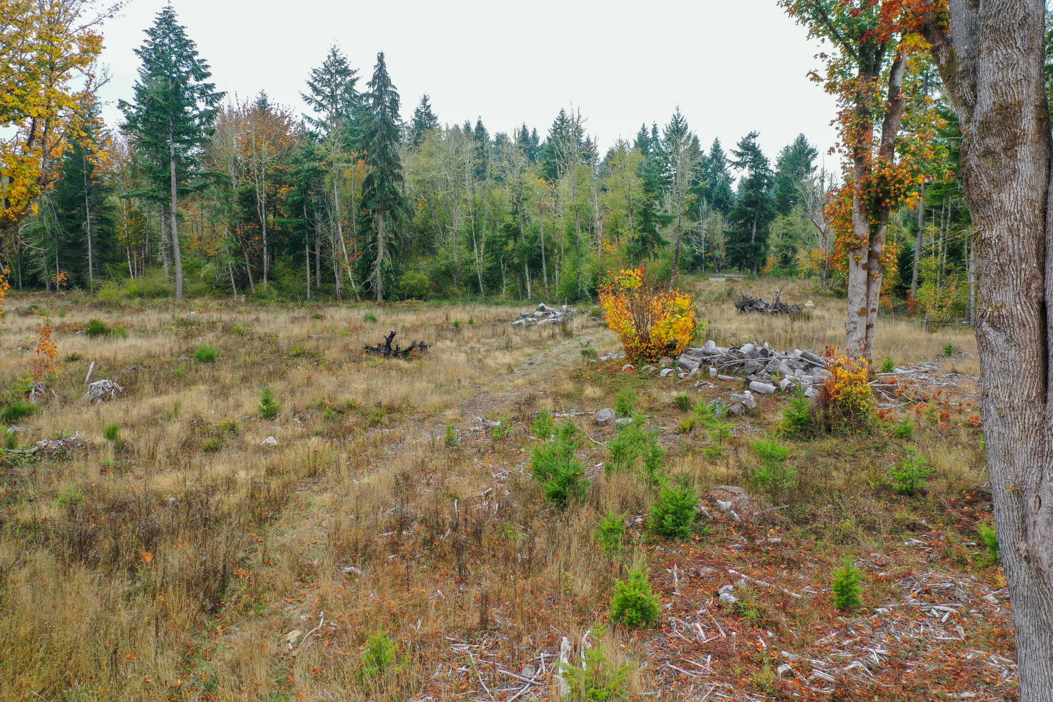  Photo 35