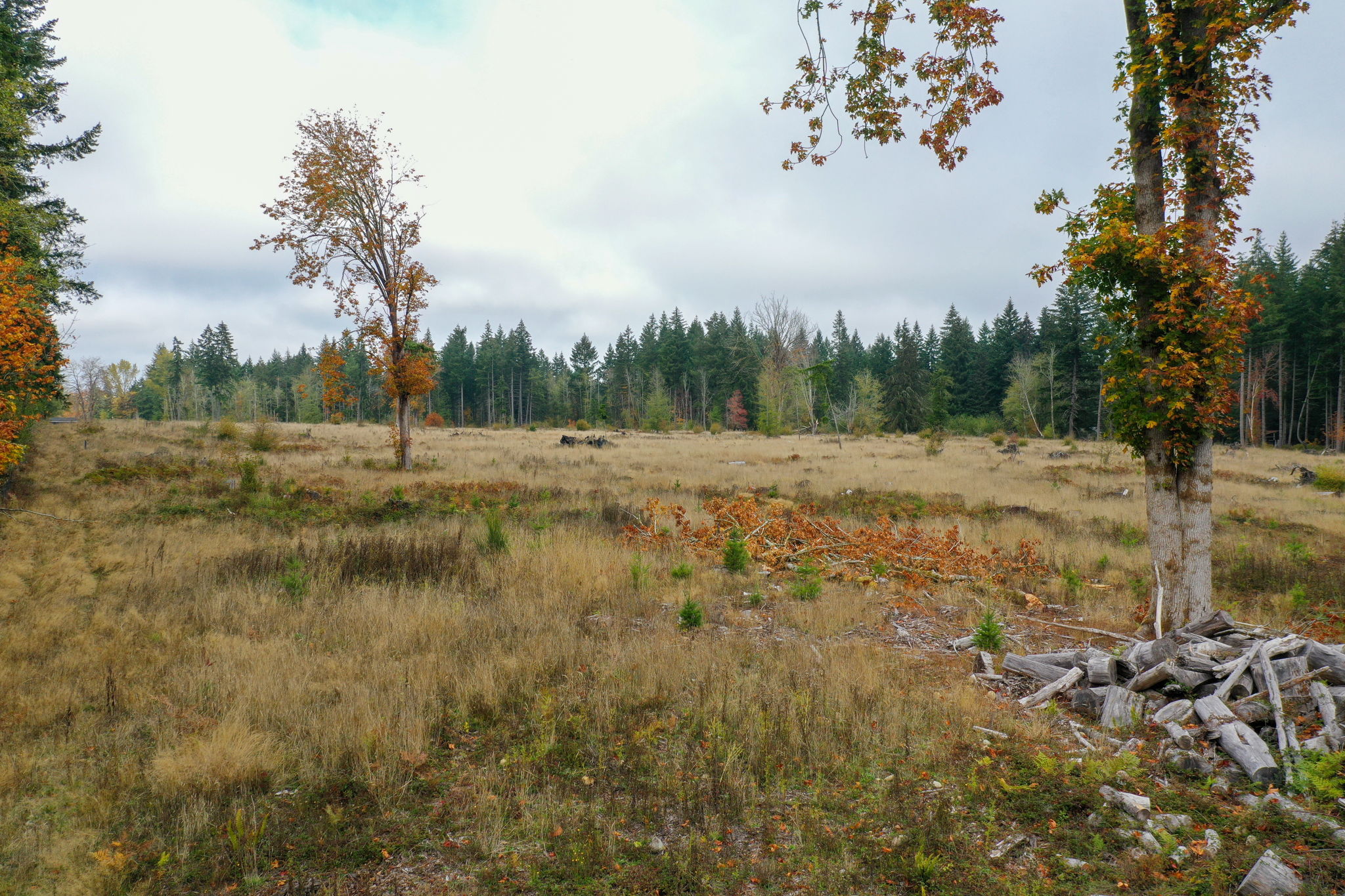  Photo 37