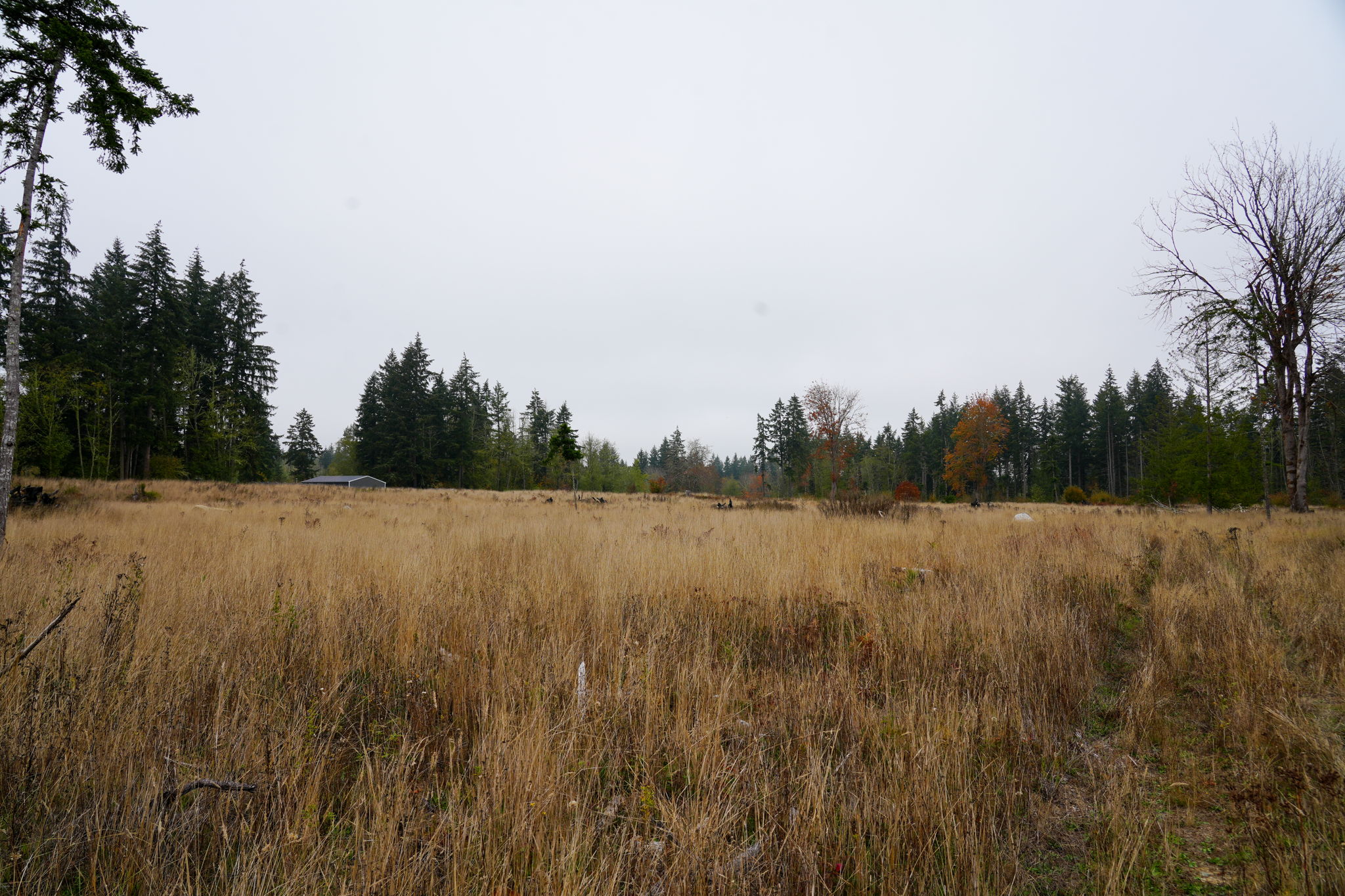  Photo 49