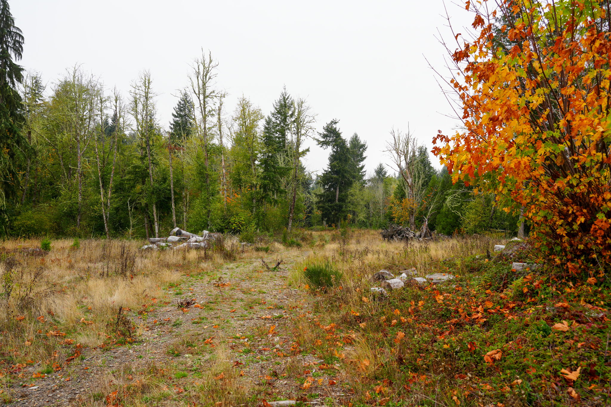  Photo 52