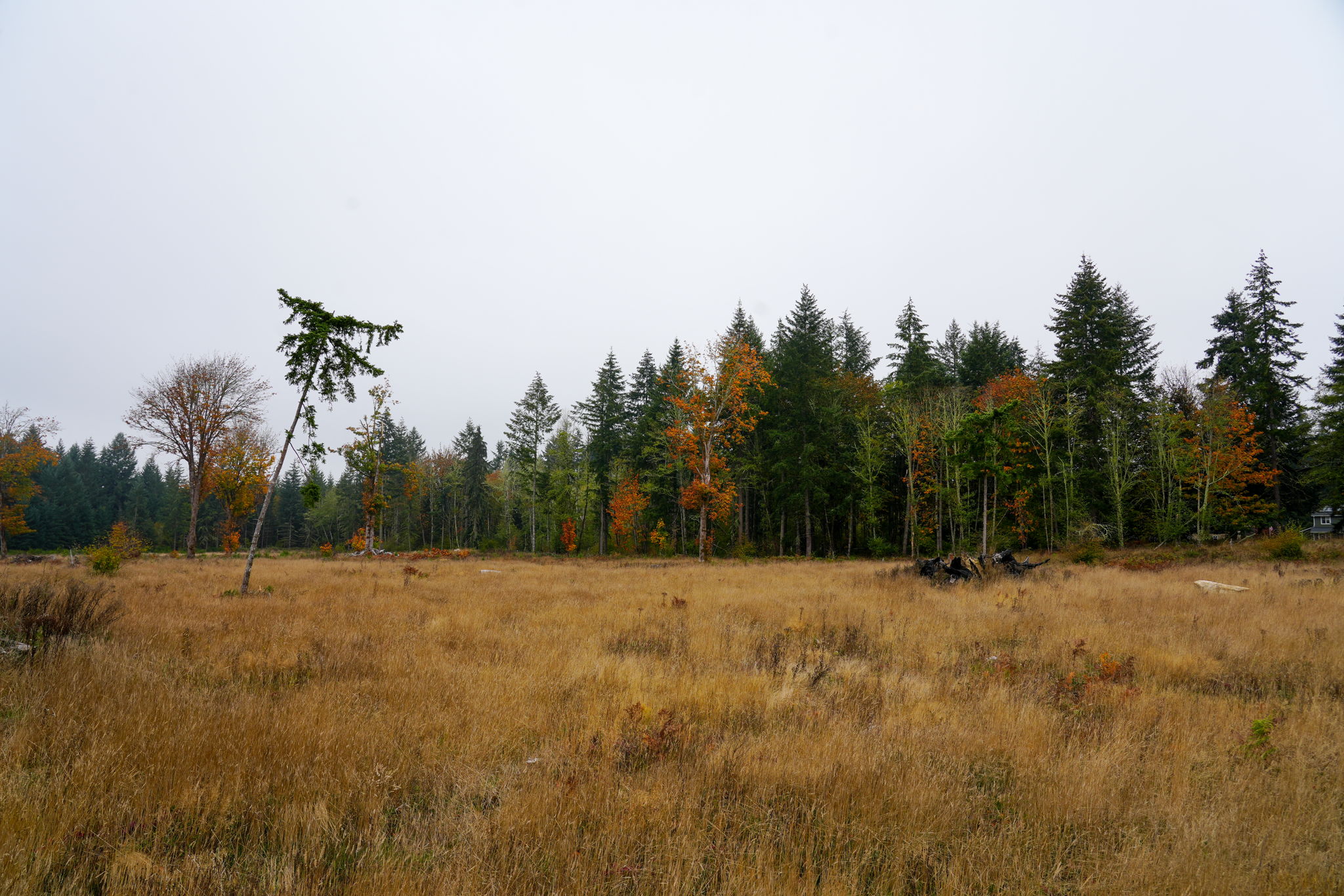  Photo 56