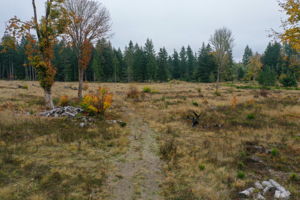  Photo 0
