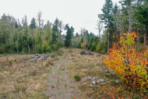  Photo 35