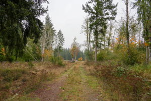  Photo 37
