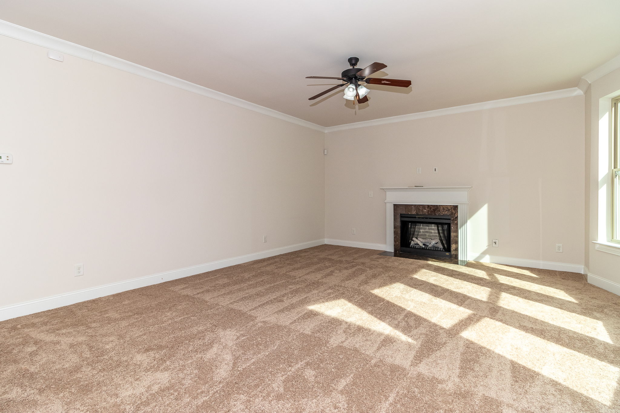 Living Room W/ Fireplace