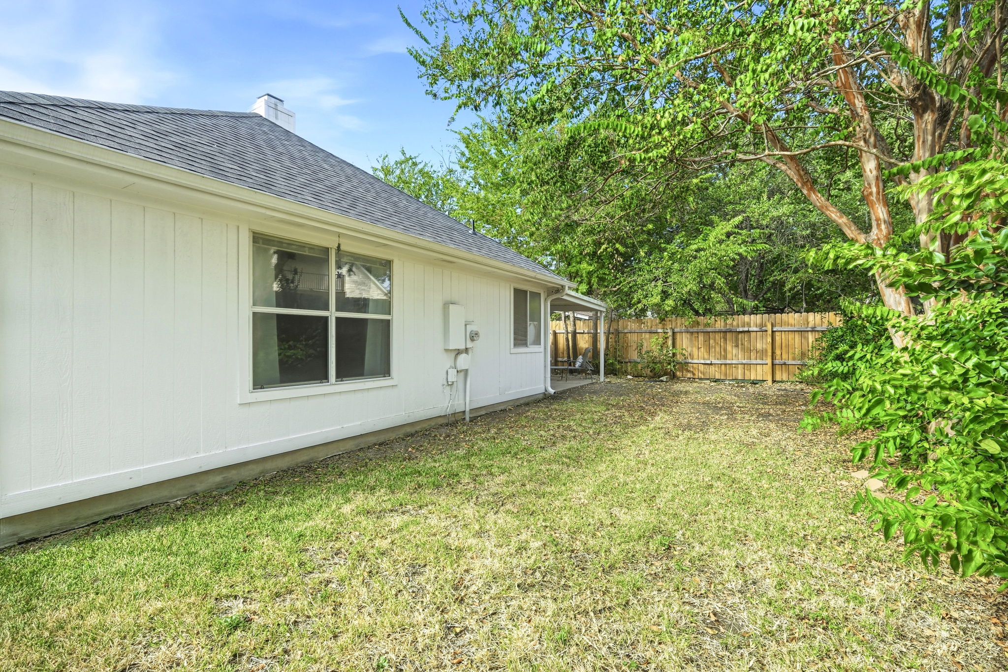 Back Yard