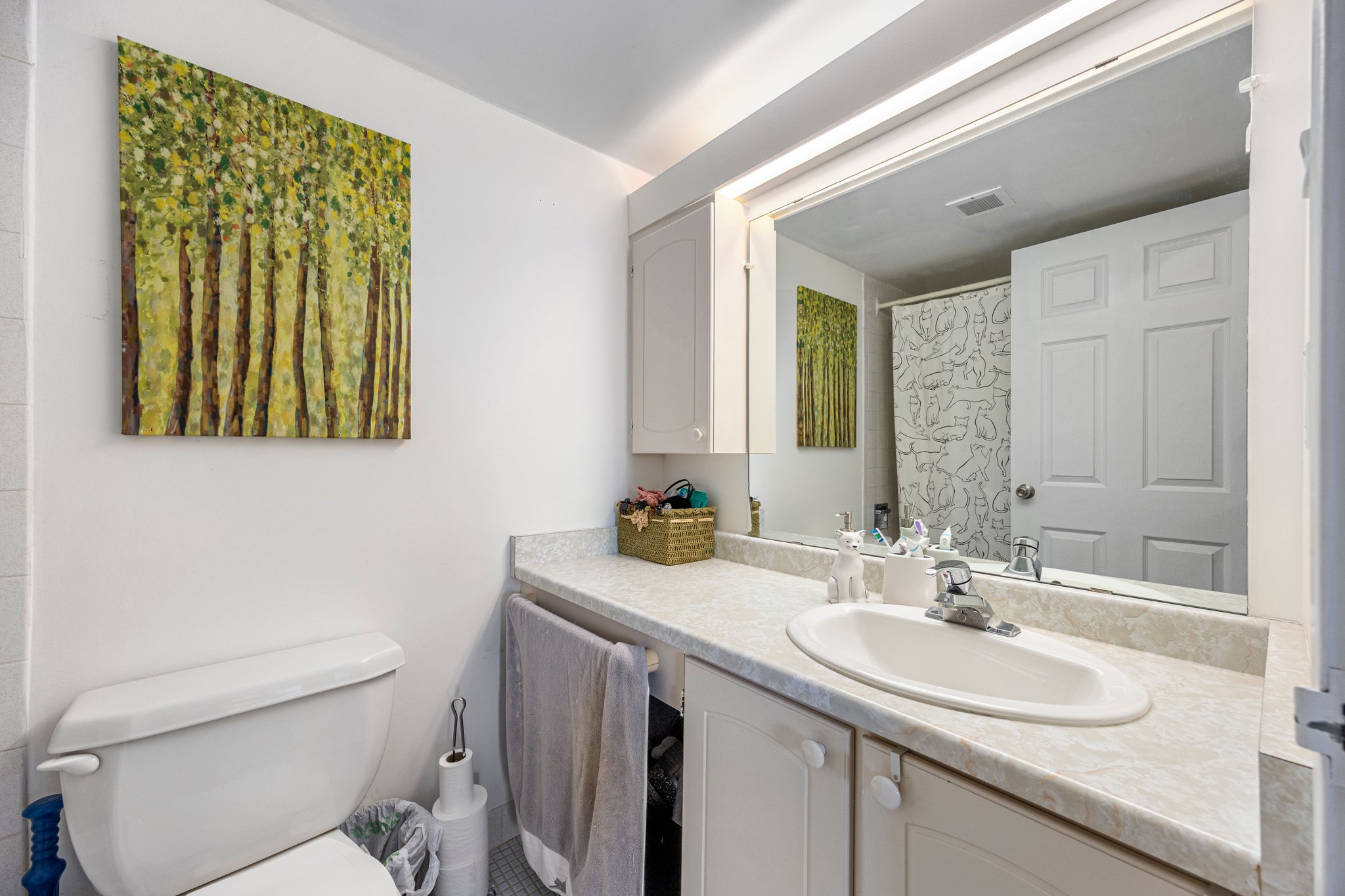 Mississauga property showcase — delivered property photograph 16