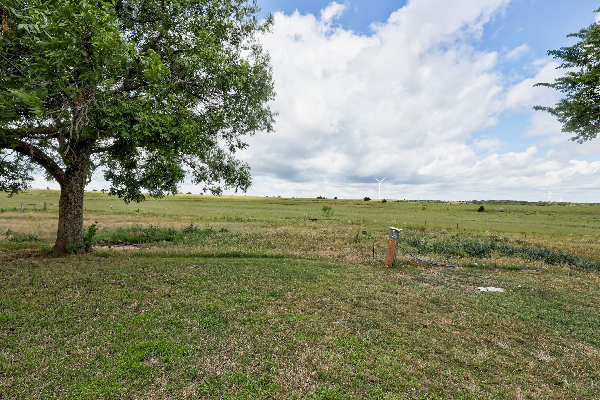  Photo 39