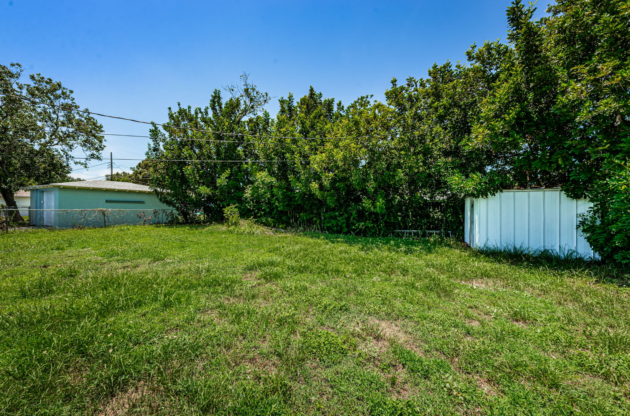 Backyard2