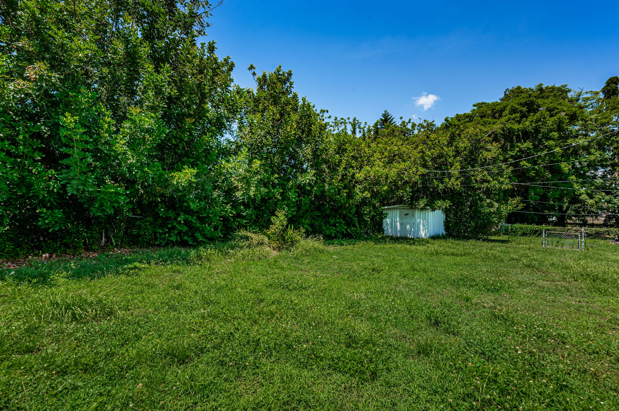 Backyard4