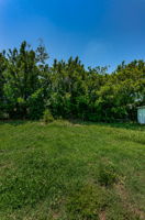 Backyard3