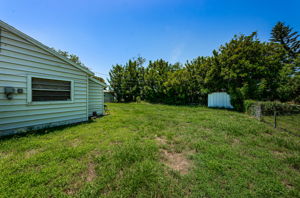 Backyard1