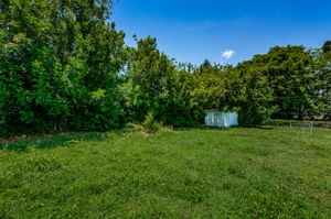 Backyard4