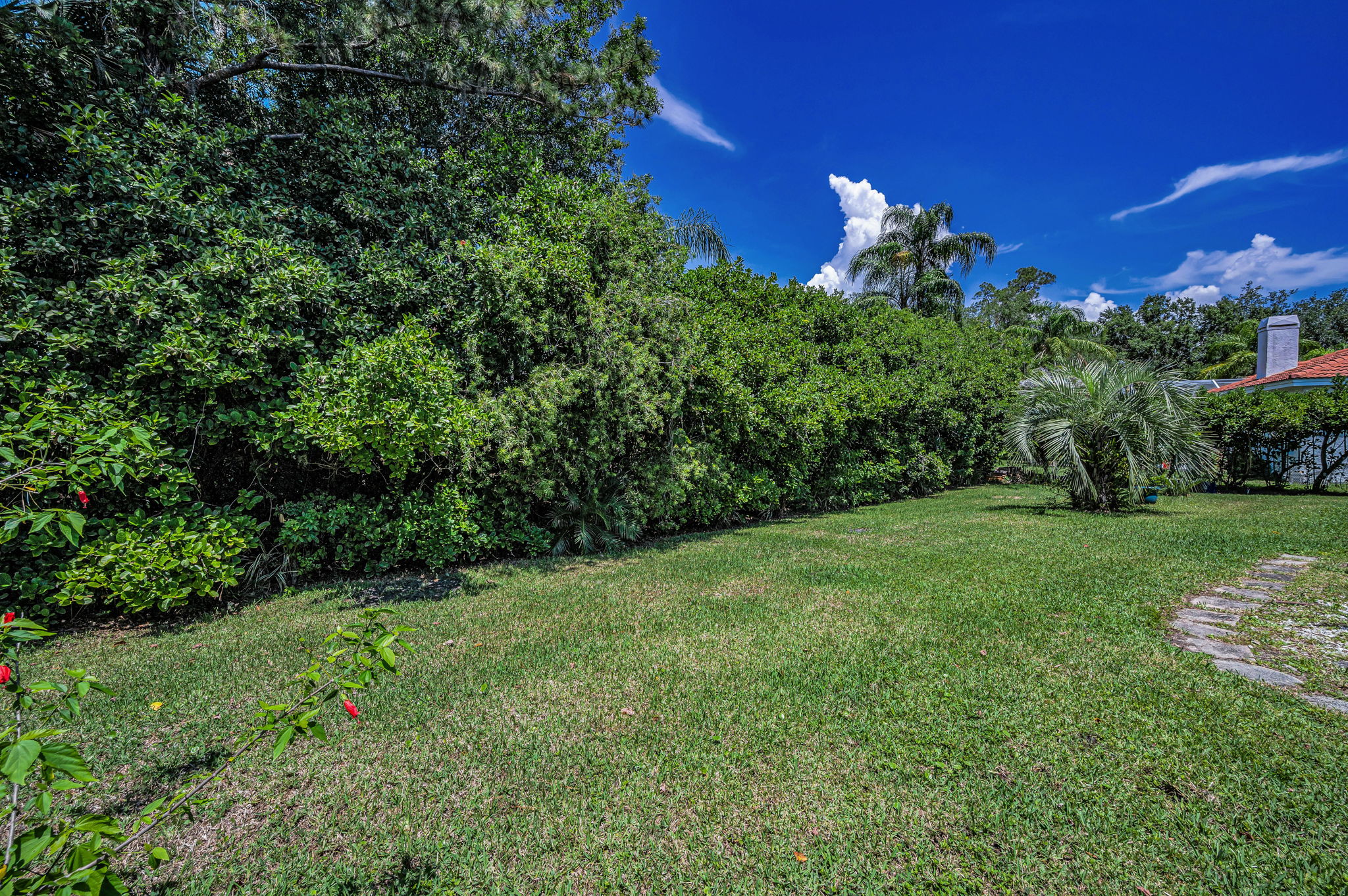 Backyard1