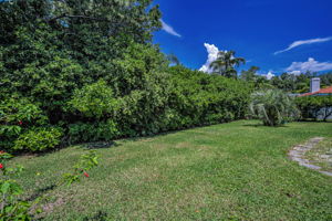 Backyard1