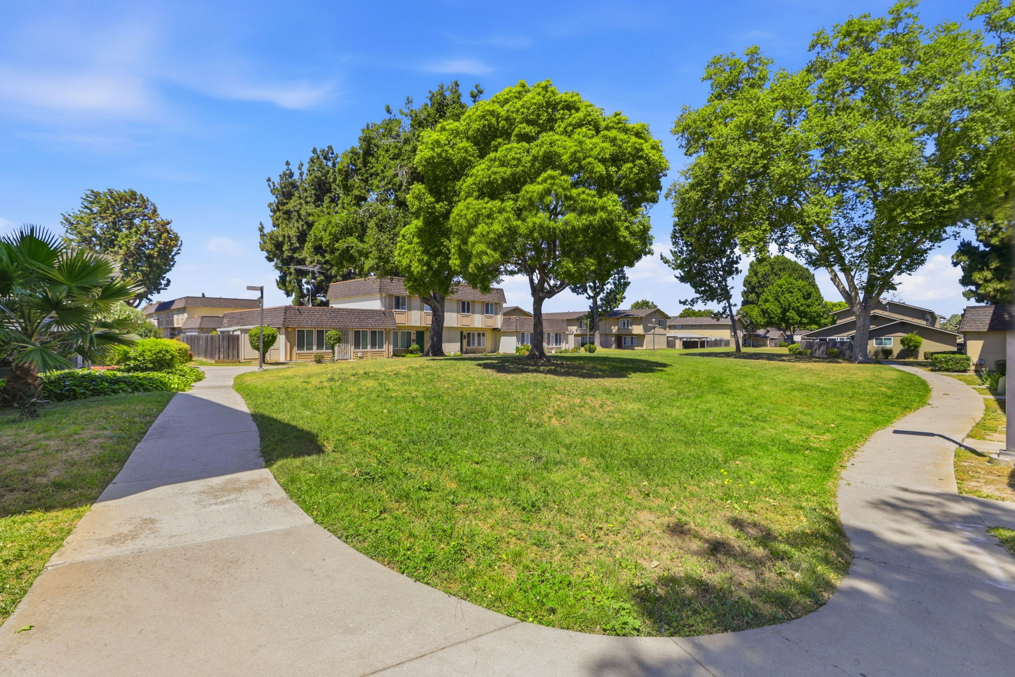 037_F8_1516 Musetta Ct