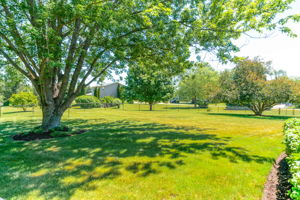  Photo 37