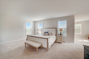 Ricketts Rd-060