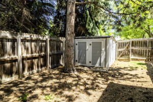  Photo 88